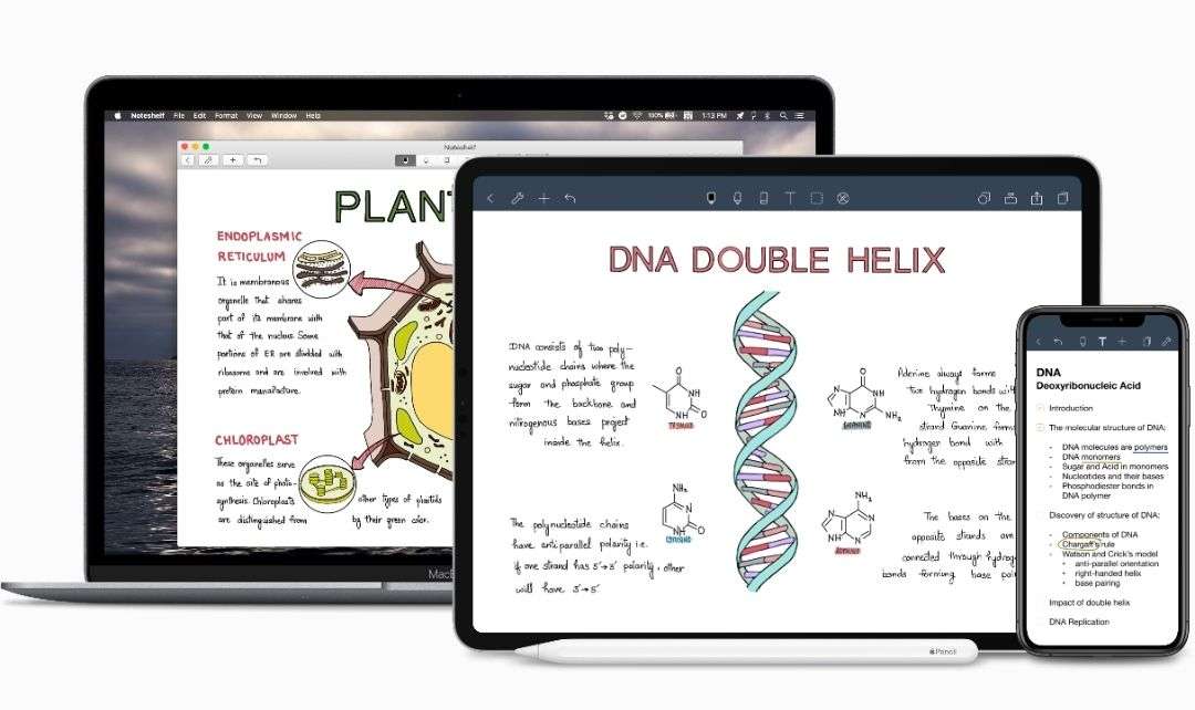 Noteshelf笔记|含资源|最终选择的笔记软件