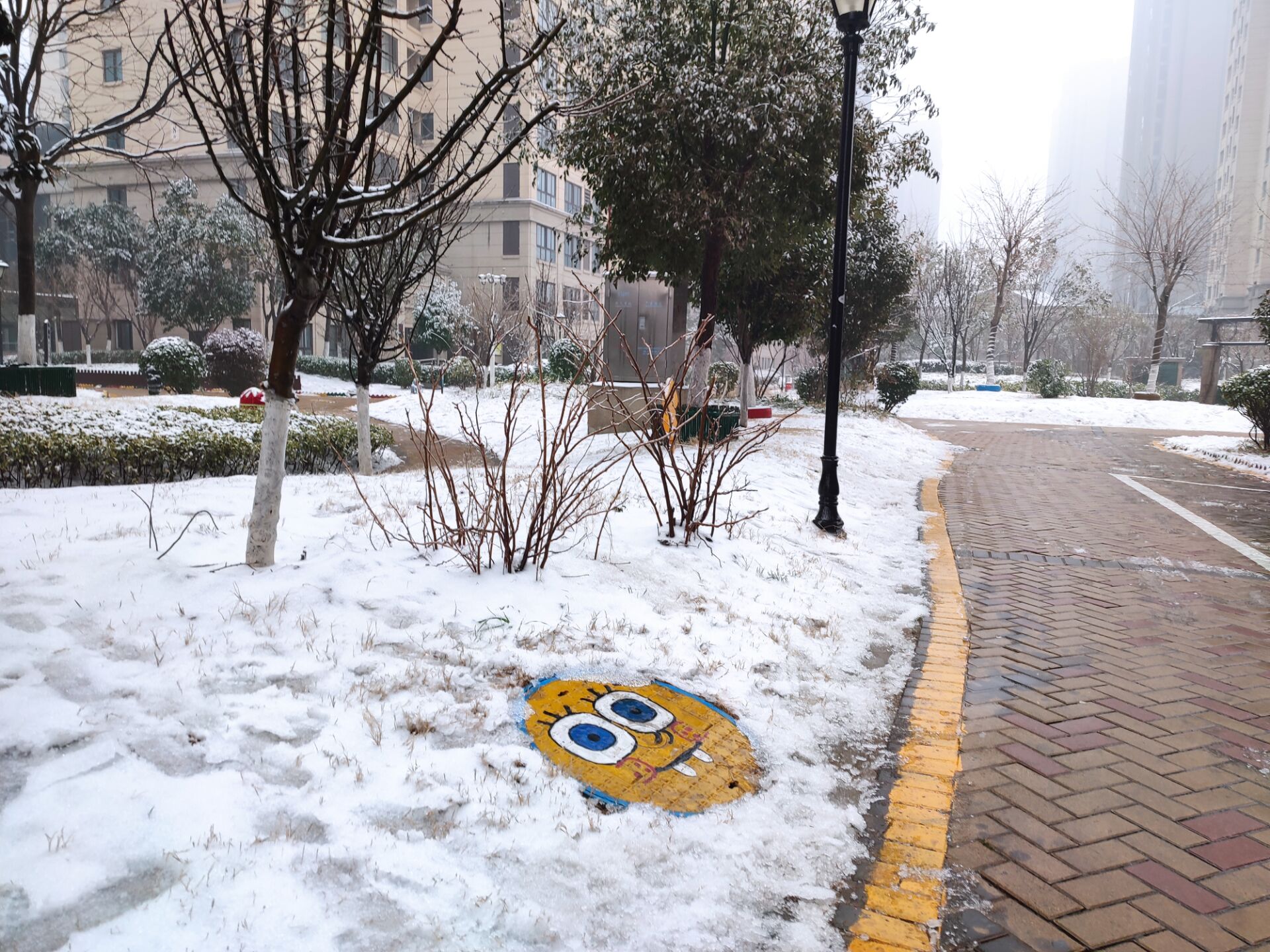 终于有像样的雪了